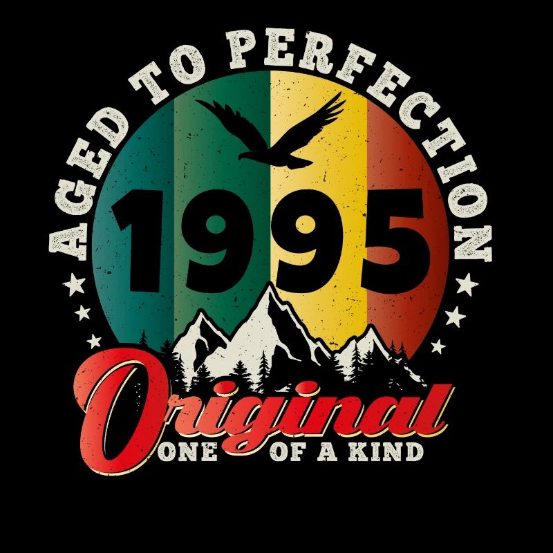 Vintage Geburtstag 1995 - 1995 Retro Geschenkidee