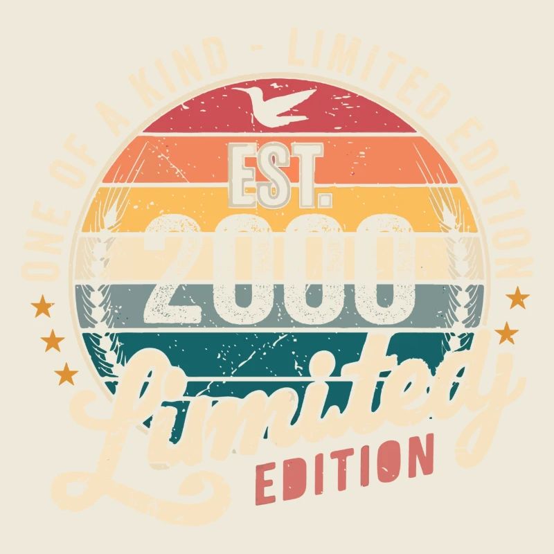 Birthday Gift 2000 Vintage 2000 Retro 2000