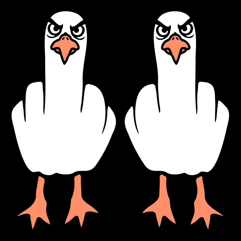 2 Möwen Mittelfinger Beleidigung Stinkefinger Team