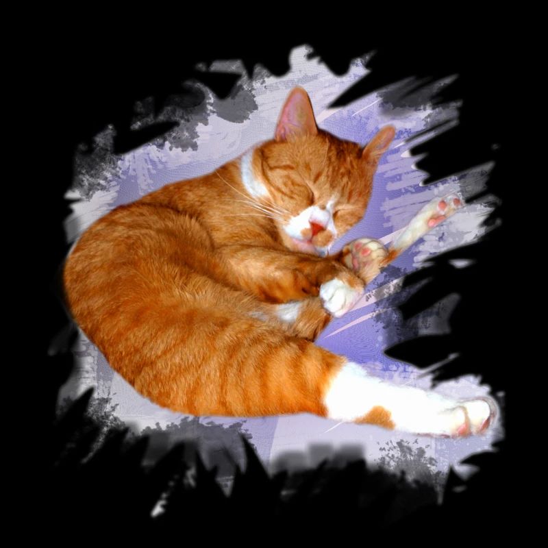 simba_kater_kopie