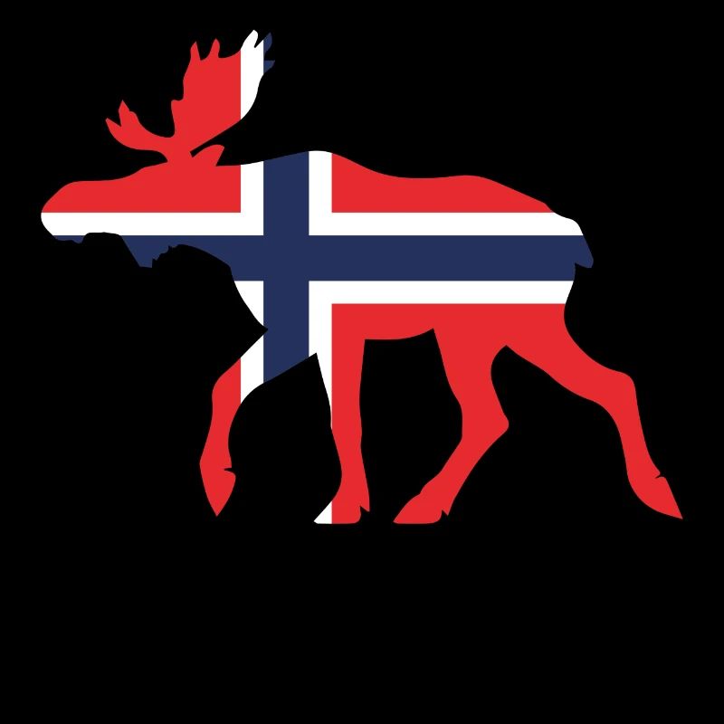 Drapeau orignal de la Norvège