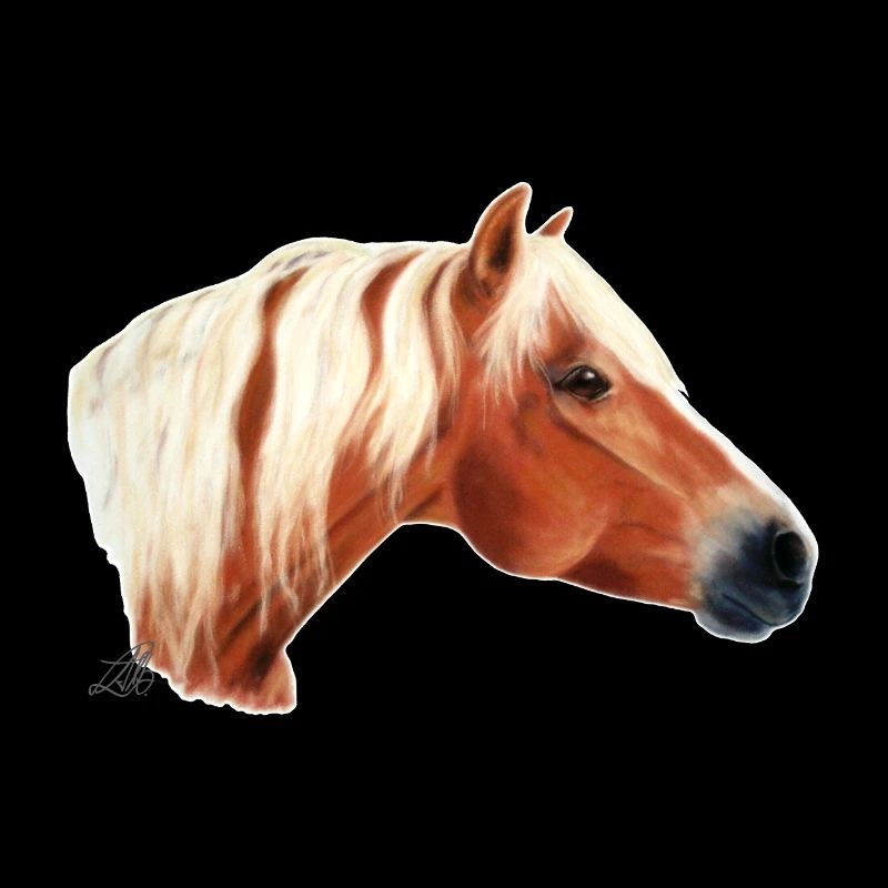 Haflinger Pferd