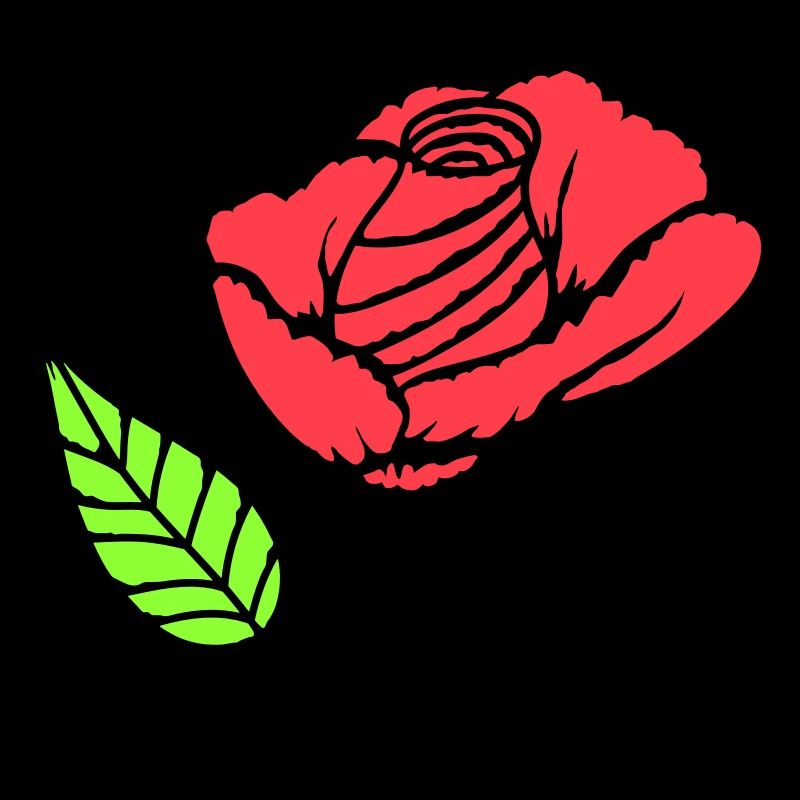 Hübsche Schöne Rose Blüte Blatt Röschen Romantisch
