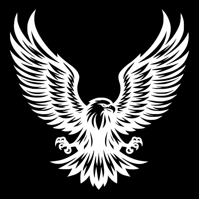 Powerful eagle with spread claws