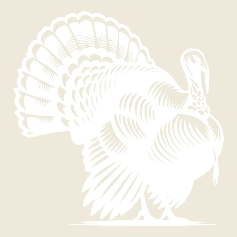 Fière dinde au plumage énorme