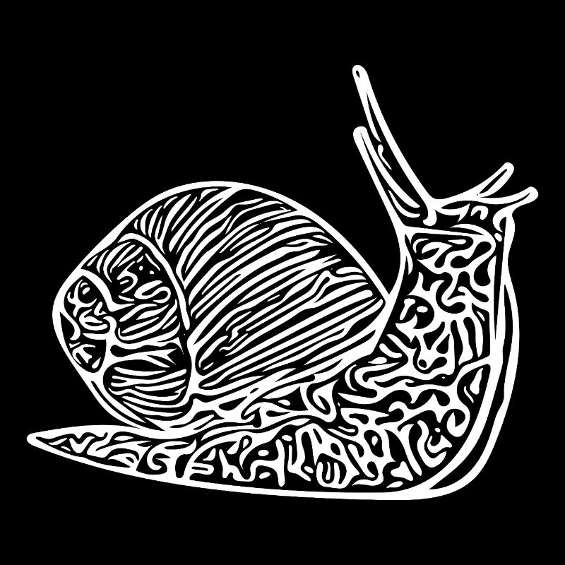 Escargot mignon avec maison