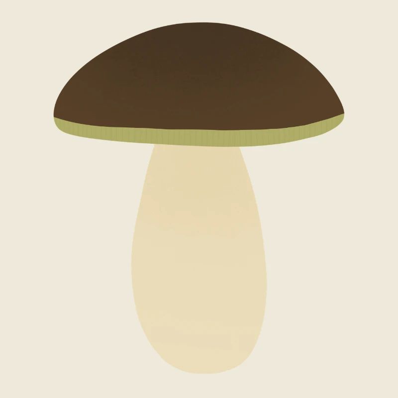 Porcini Mushroom