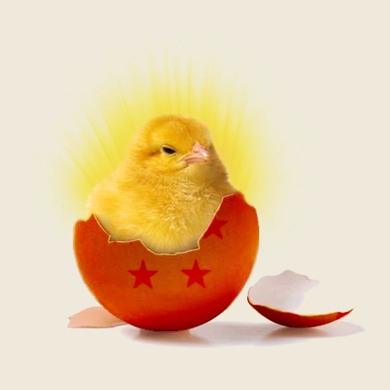 poussin_super_saiyan