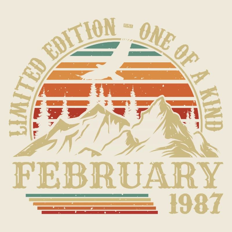 February 1987 Retro Born February 1987 Birthday