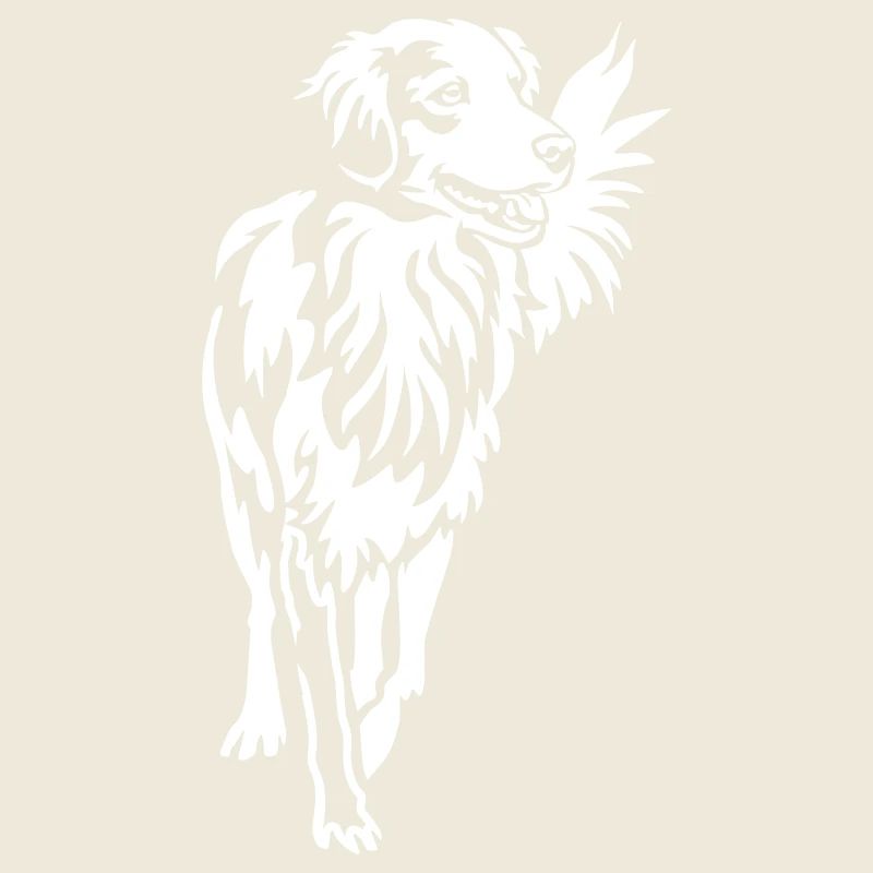 Canard tolling Retriever « Black Edition »