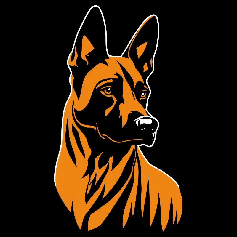 Belgian Malinois Portrait Belgian Shepherd Dog