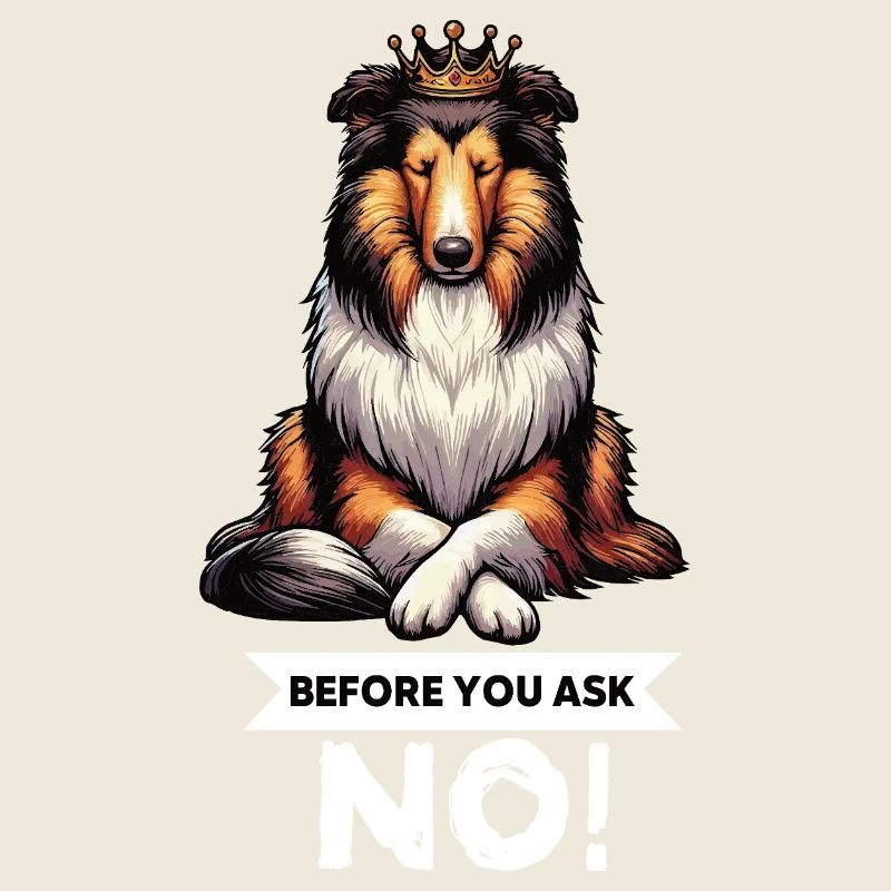 Before You Ask Collie Collieowner Collies