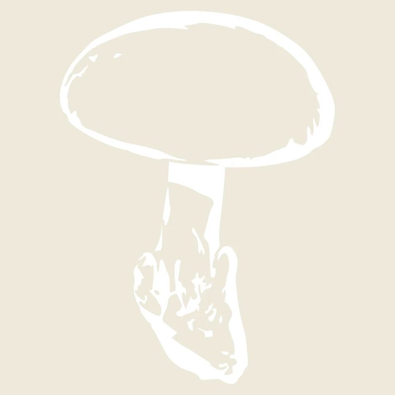 Champignon blanc, cueillette de champignons