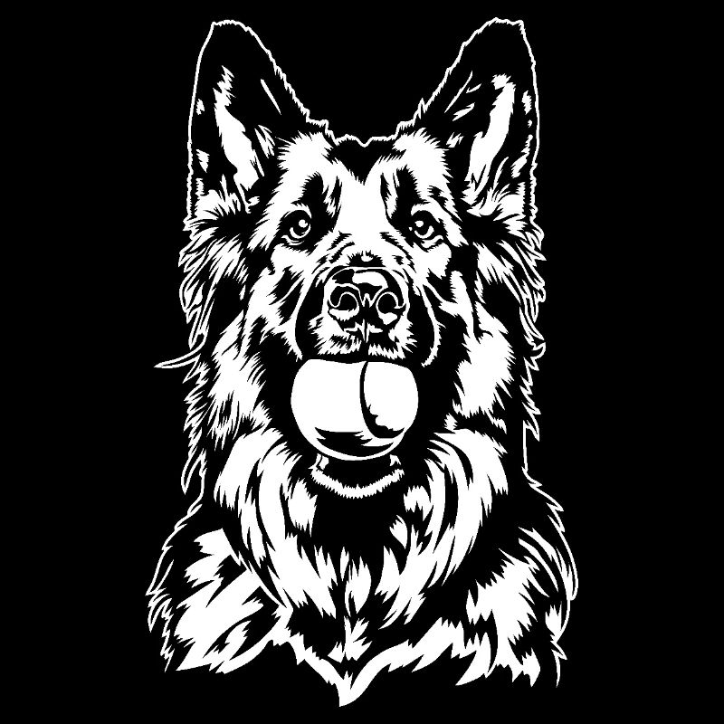 Deutscher Langhaar Schäferhund Hunde Wilsigns