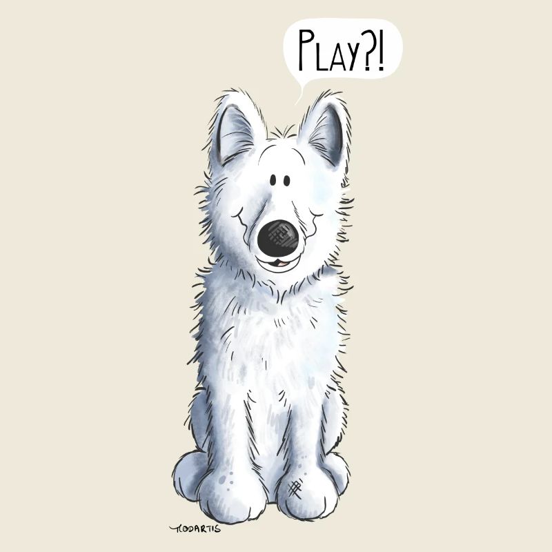 Schweizer Schäferhund Play