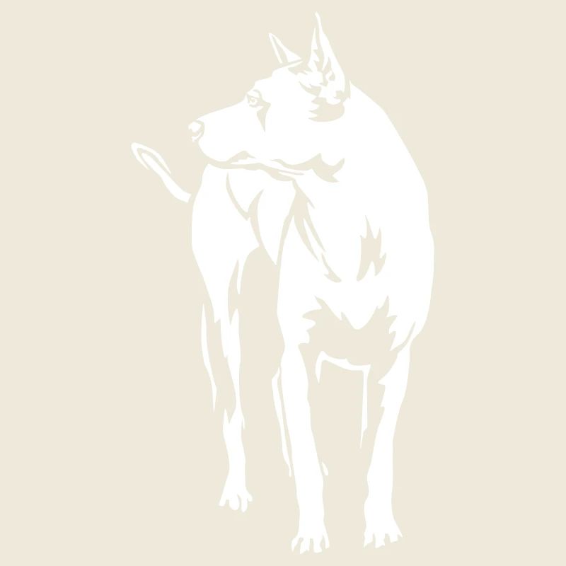 Thai Ridgeback « Black Edition »