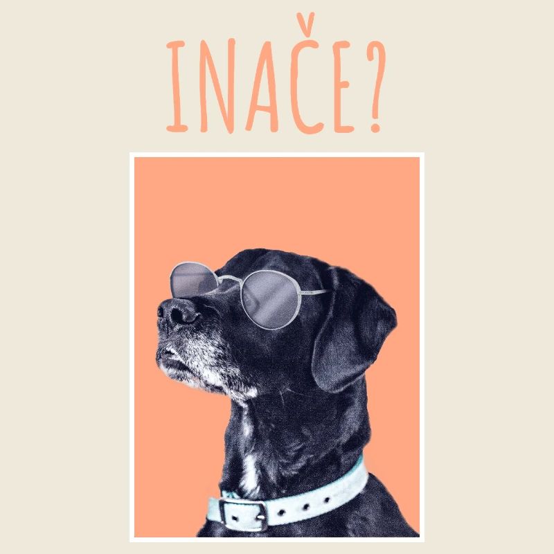 INAČE MAJICA