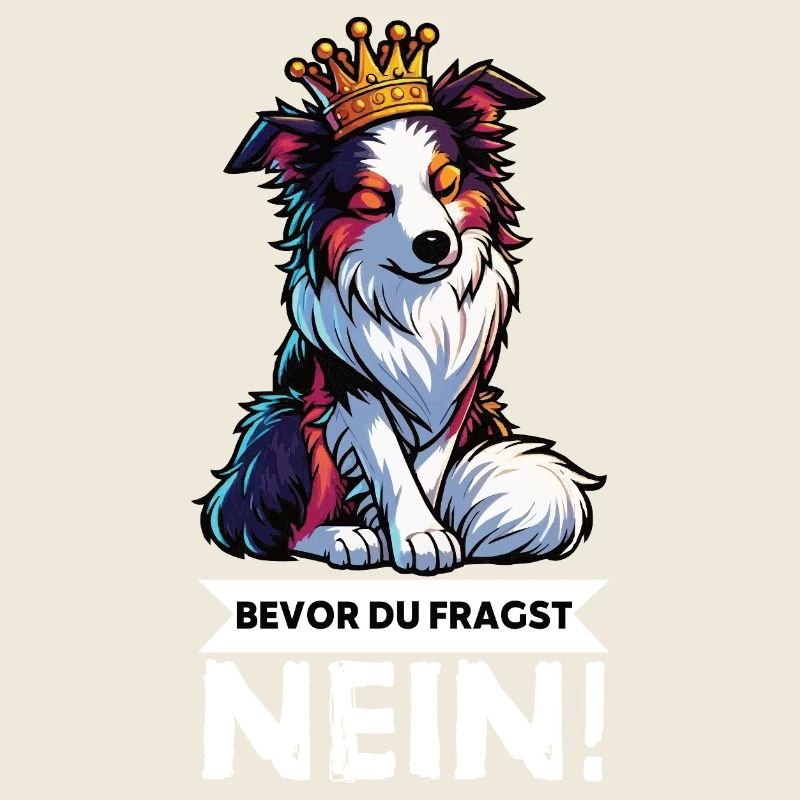 Avant que vous ne demandiez : Berger australien Aussie Aussie