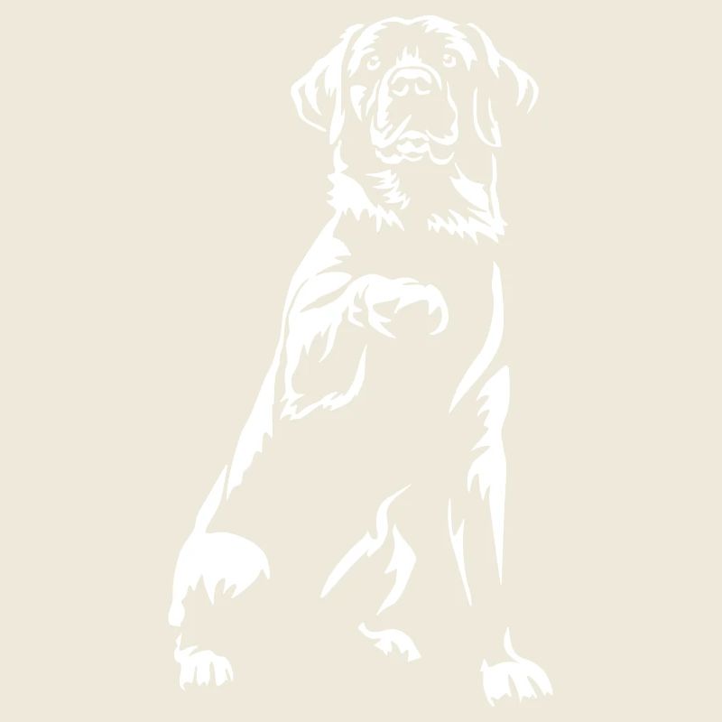 Labrador « Édition Noire »