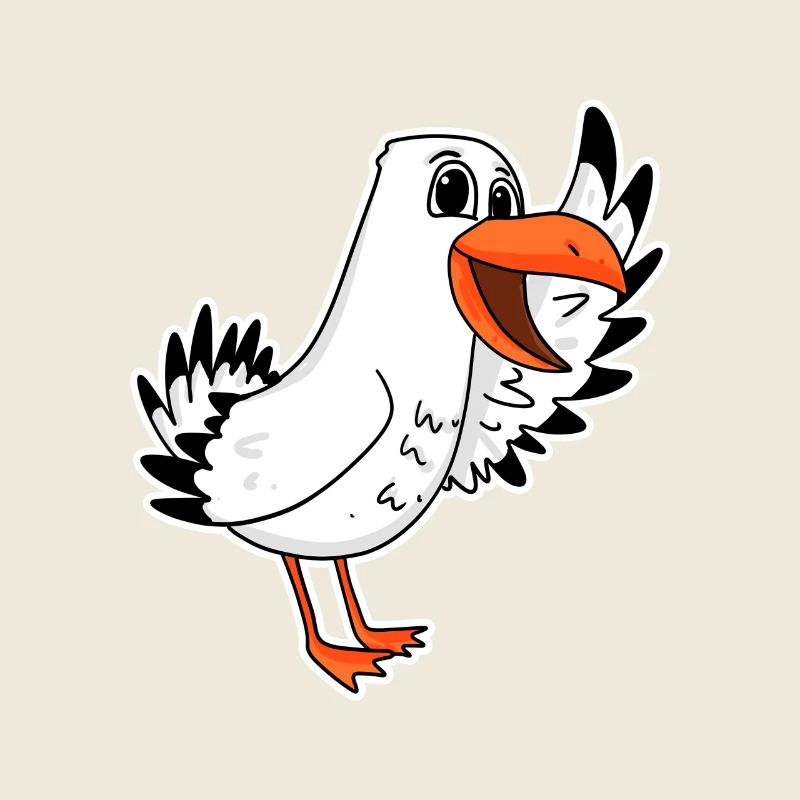 Mouette mer