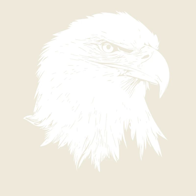 Eagle / Bald Eagle