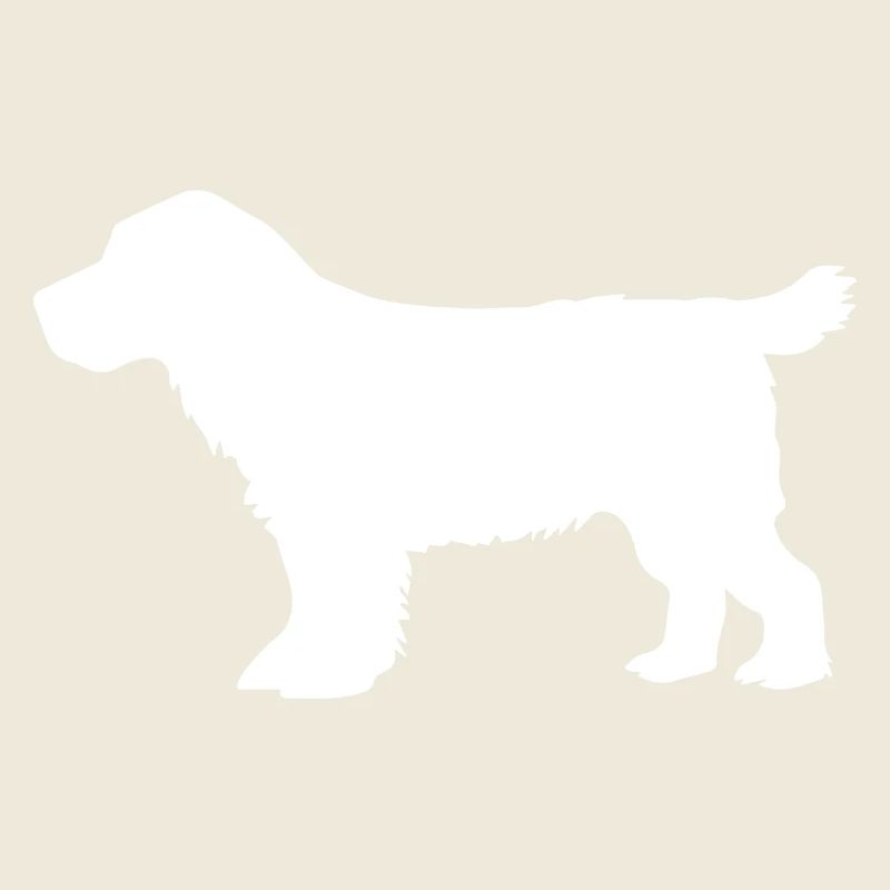 Cocker Spaniel Dog – white – SUA