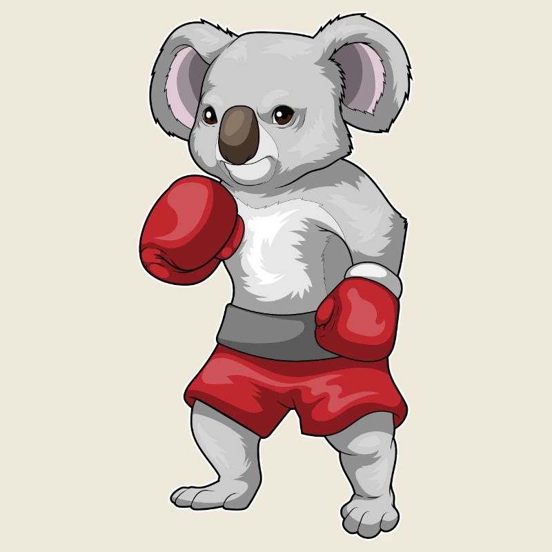 Koala Boxer Boxhandschuhe Boxen