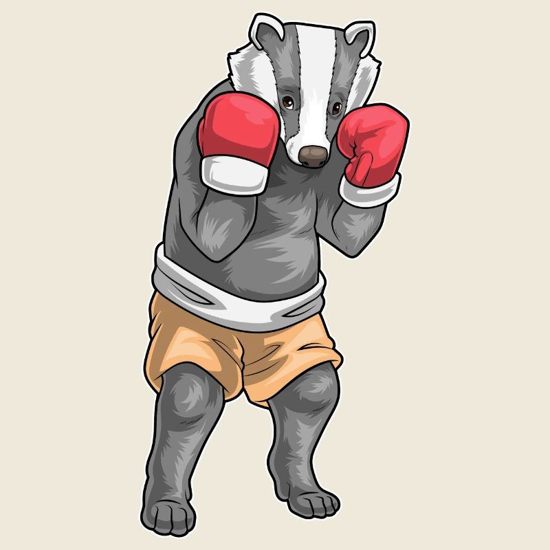 Badger Boxer Gants de boxe Boxe