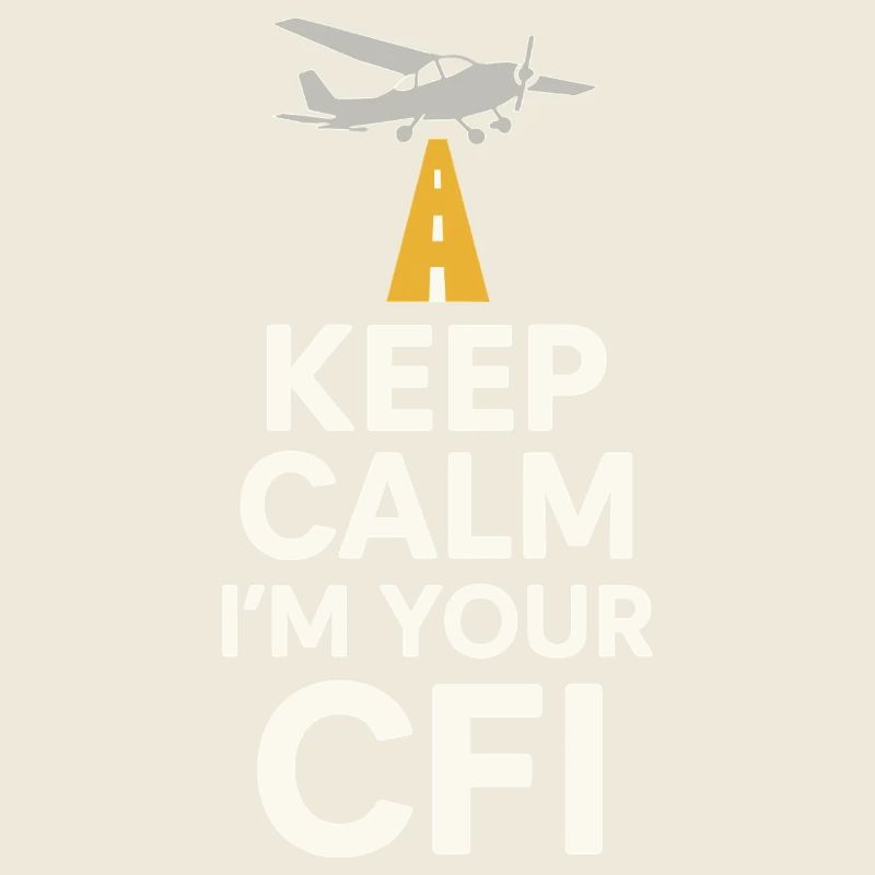 Flight Instructor Cfi Pilot Aviation Instructor