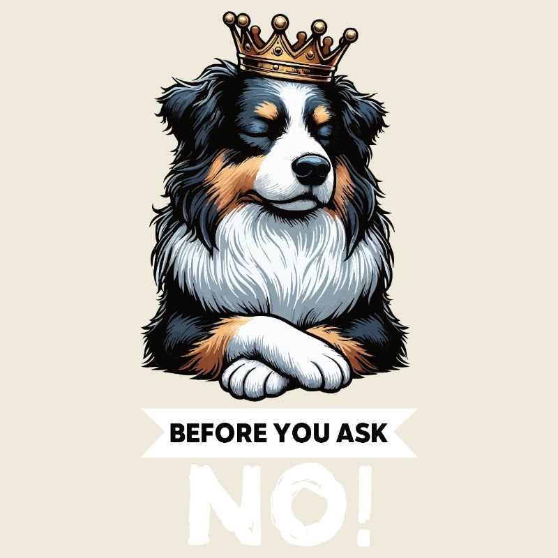 Before You Ask Australian Shepherd Aussie Aussies