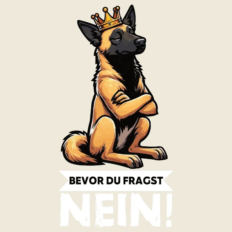 Before you ask: Malinois Belgian Shepherd