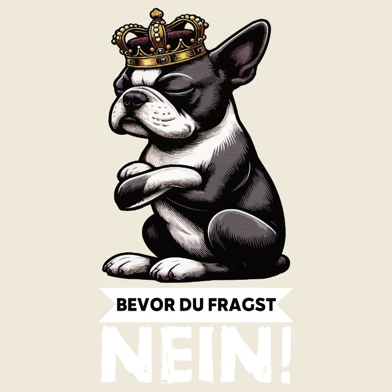 Before You Ask Boston Boston Terrier Bostie Bosti