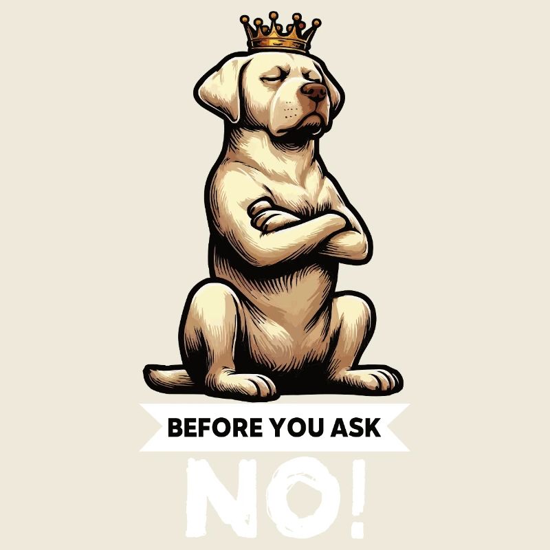 Before You Ask Labrador Labradorbesitzer Labradore
