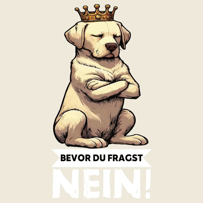 Bevor Du Fragst Nein Labrador Labradorbesitzer 