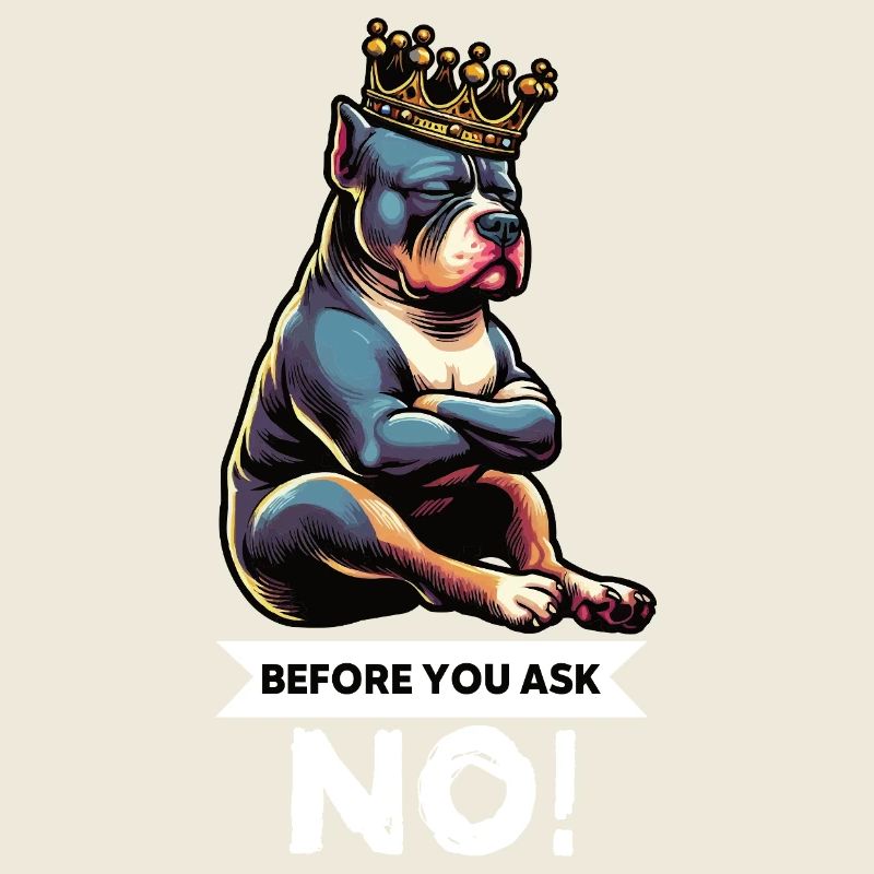 Before You Ask American Bully Bully Pit Bullys