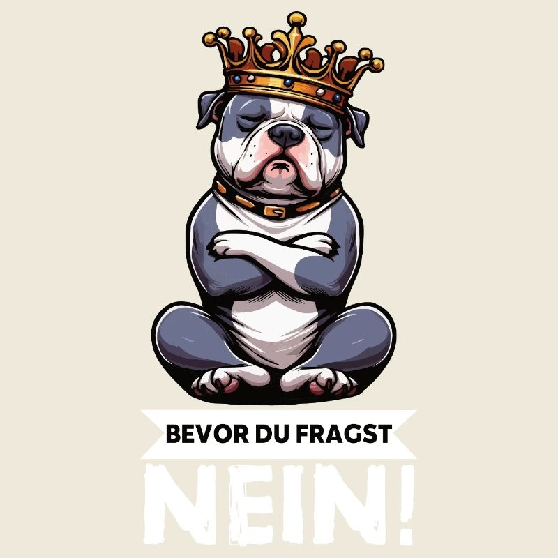 Before You Ask No American Bully Bully Pit