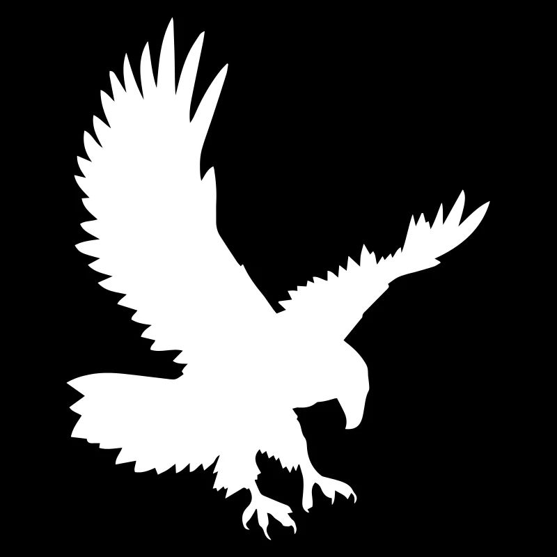 Adler bei der Attacke