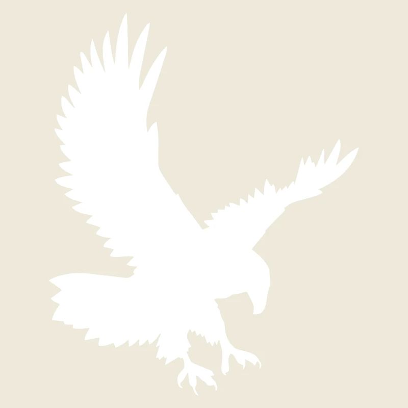 Eagles on the attack