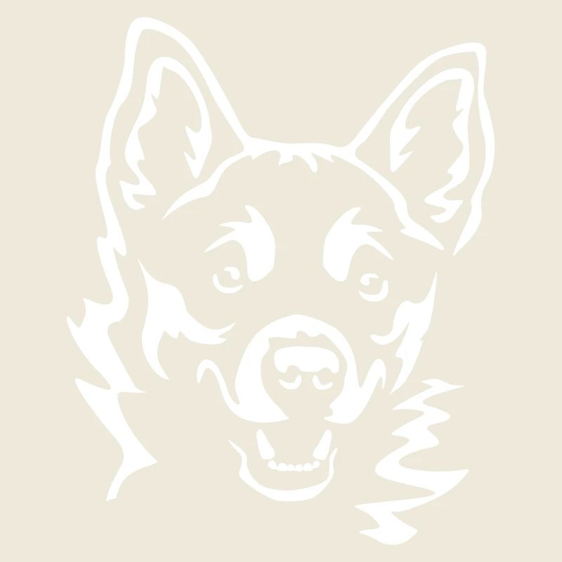 Lundehund norvégien « Black Edition »