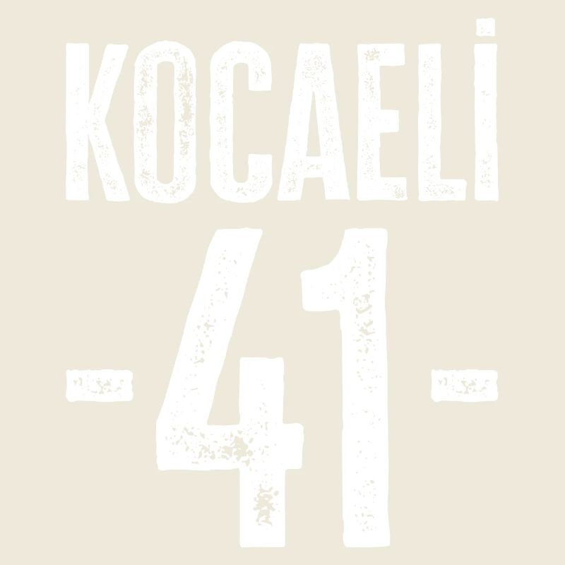 Kocaeli 41 – Connection with Türkiye