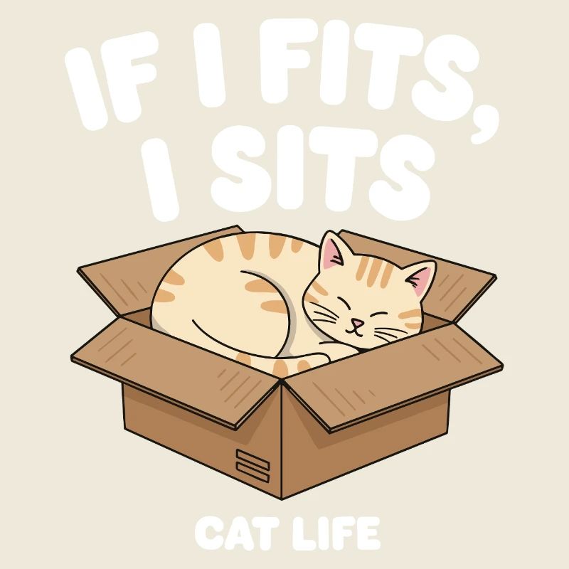 S’il convient, le chat s’assoit dans une boîte