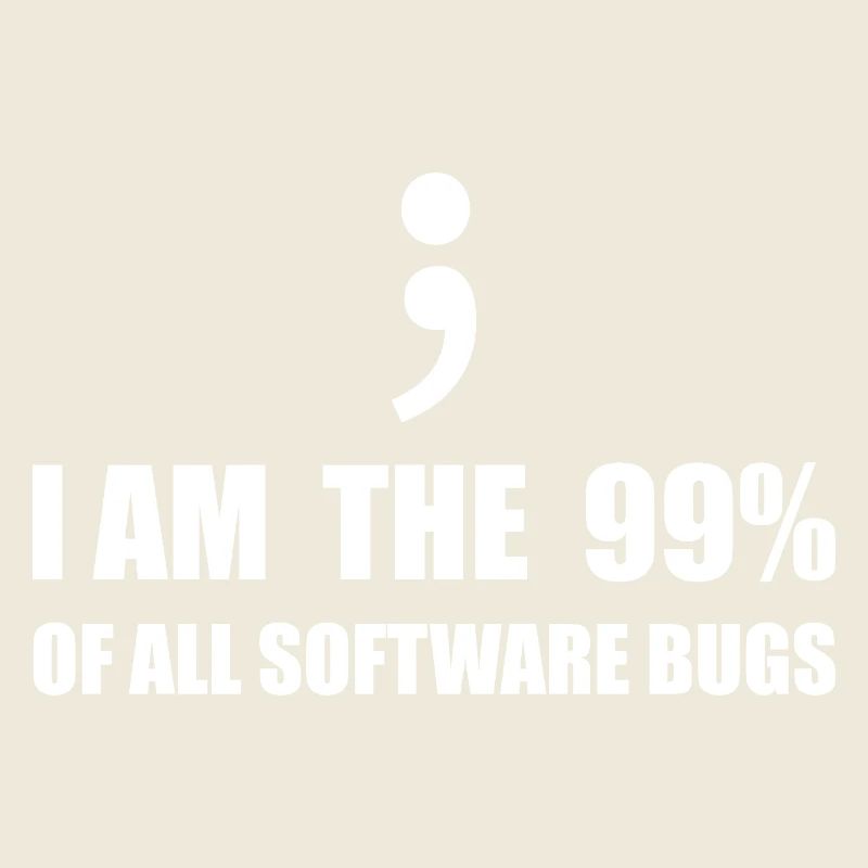 Programmeur Computer Scientist