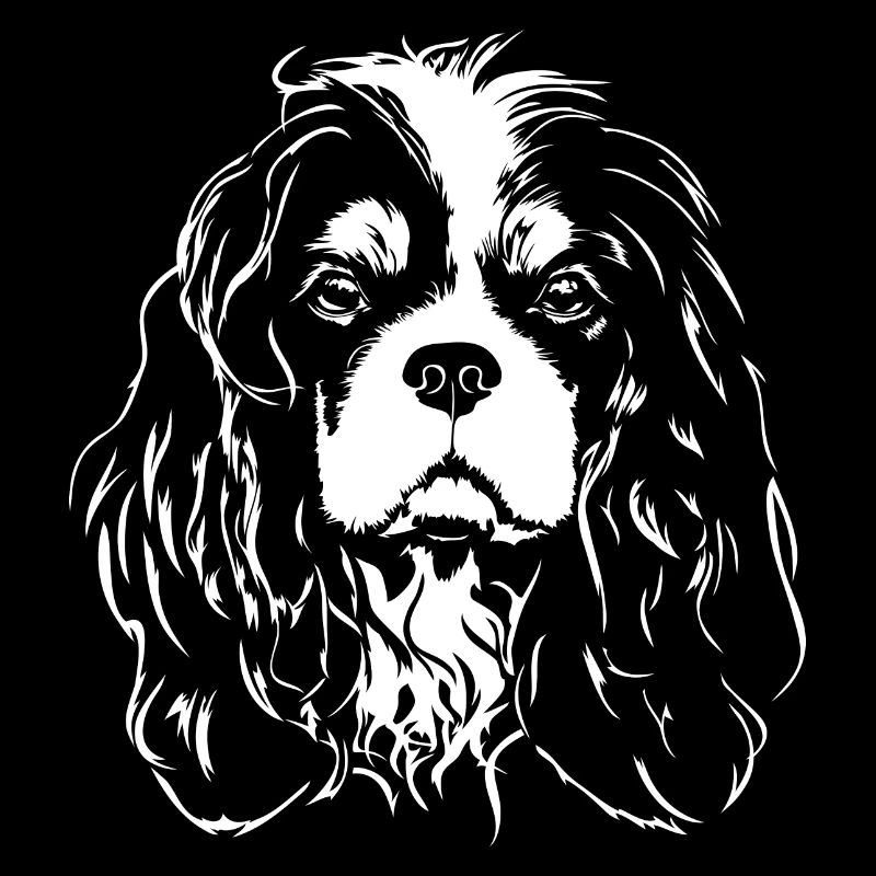 CAVALIER KING CHARLES SPANIEL Hunde Hund Wilsigns