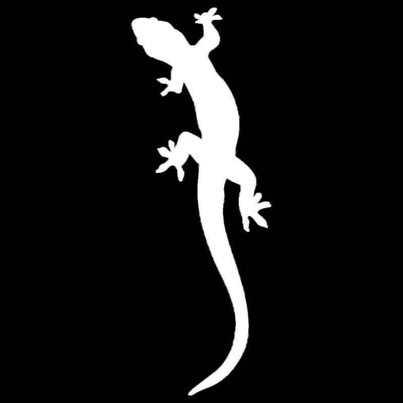 Lizard Illustration Gecko
