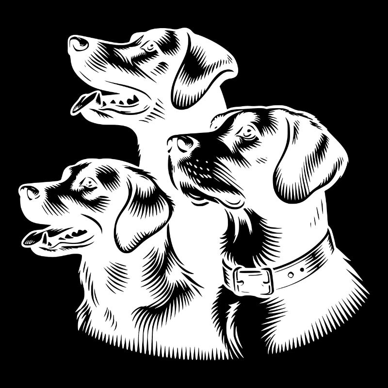 Small Dog Pack as Portrait