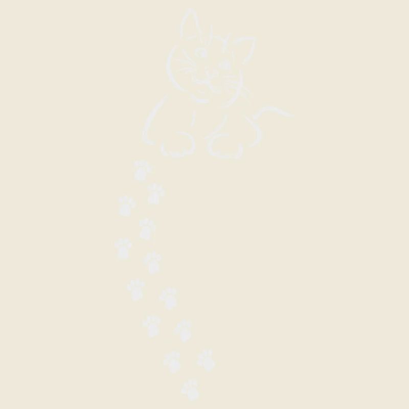 chat chat chat chat patte empreinte