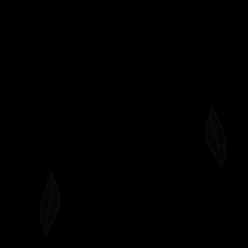 Mescalero Apache Indianer