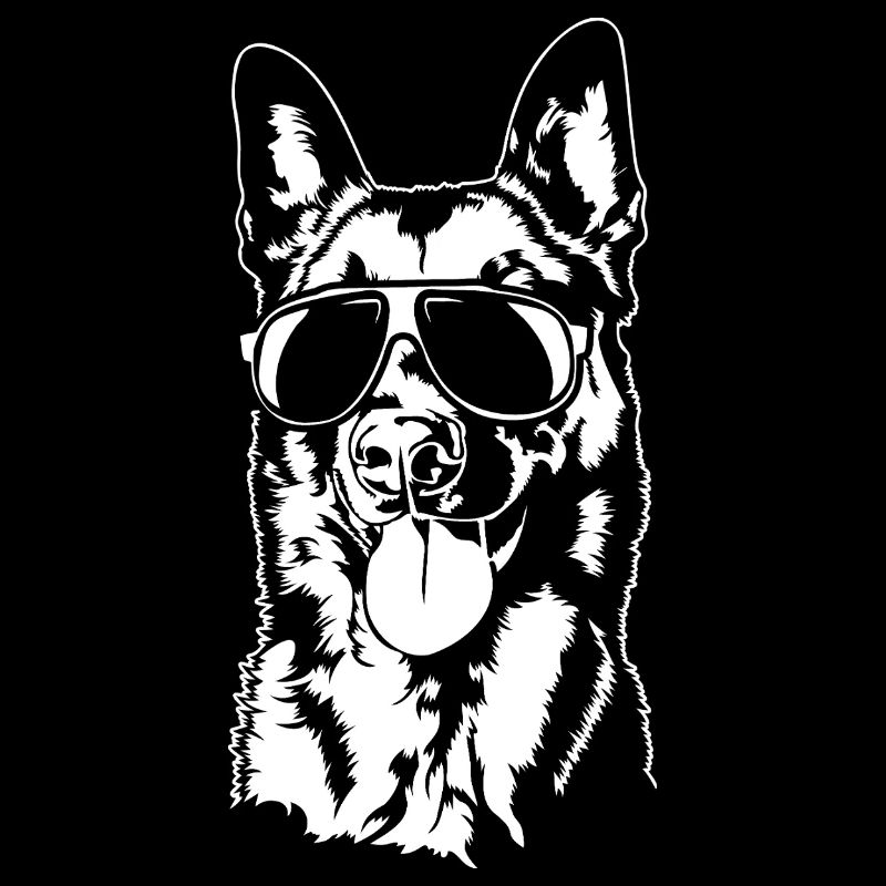 Malinois Cool Chien Portrait Chien Wilsigns
