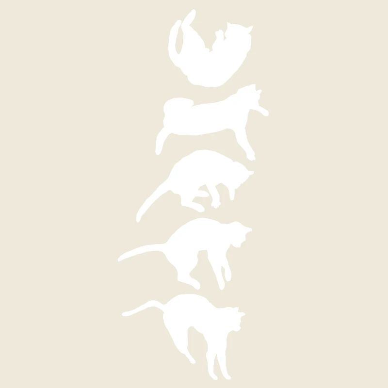 Aufrichtreflex der fallenden Katze