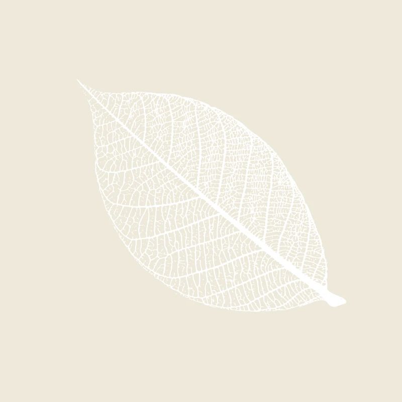 leaf tree forest skeleton pattern nerve love heart